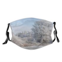 yanfind Winter Trail Path Geological Tree Tree Branch Blizzard Frost Winter Forest Freezing Dust Washable Reusable Filter and Reusable Mouth Warm Windproof Cotton Face