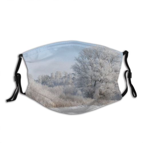 yanfind Winter Trail Path Geological Tree Tree Branch Blizzard Frost Winter Forest Freezing Dust Washable Reusable Filter and Reusable Mouth Warm Windproof Cotton Face