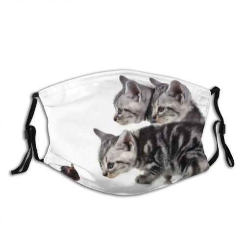 yanfind Isolated Fur Young Cat Kitty Cute Pedigreed Baby Beautiful Pretty Pet Cats Dust Washable Reusable Filter and Reusable Mouth Warm Windproof Cotton Face