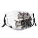 yanfind Isolated Fur Young Cat Kitty Cute Pedigreed Baby Beautiful Pretty Pet Cats Dust Washable Reusable Filter and Reusable Mouth Warm Windproof Cotton Face