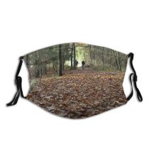 yanfind Trail Path Scenery Trail Footpath Natural Autumn Vegetation Landscape Fall Wood Pathway Dust Washable Reusable Filter and Reusable Mouth Warm Windproof Cotton Face