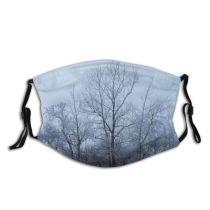 yanfind Winter Frost Dusk Natural Winter Atmospheric Branches Woody Landscape Sky Plant Branch Dust Washable Reusable Filter and Reusable Mouth Warm Windproof Cotton Face