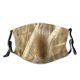 yanfind Grasses Teasel Grass Tones Seeds Plant Filaments Stems Seed Pods Family Fecund Dust Washable Reusable Filter and Reusable Mouth Warm Windproof Cotton Face