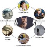 yanfind Fur Young Cat Kitty Cute Bengal Beautiful Pet Studio Tabby Portrait Dark Dust Washable Reusable Filter and Reusable Mouth Warm Windproof Cotton Face