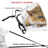 yanfind Cat Seal Bengal Sight Shot Pet Studio Tabby Felidae Indoor Eye Photo Dust Washable Reusable Filter and Reusable Mouth Warm Windproof Cotton Face