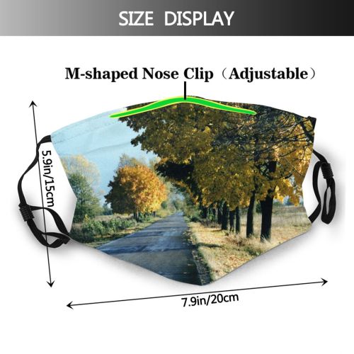 yanfind Morning Natural Autumn Woody Landscape Sky Poland Road Leaf Tree Rynarzewo Tree Dust Washable Reusable Filter and Reusable Mouth Warm Windproof Cotton Face