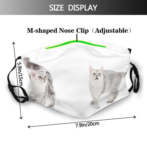 yanfind Isolated Fur Young Cat Kitty British Cute Space Beautiful Pretty Sibling Shot Dust Washable Reusable Filter and Reusable Mouth Warm Windproof Cotton Face