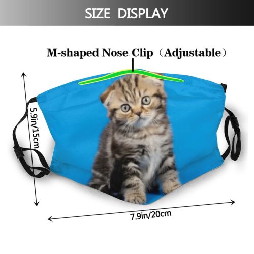 yanfind Isolated Fur Young Cat Kitty British Cute Calico Grey Colorful Dog Puppy Dust Washable Reusable Filter and Reusable Mouth Warm Windproof Cotton Face