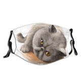 yanfind Isolated Fur Clipart Little Cat Kitty Cute Active Friendly Friend Pretty Face Dust Washable Reusable Filter and Reusable Mouth Warm Windproof Cotton Face