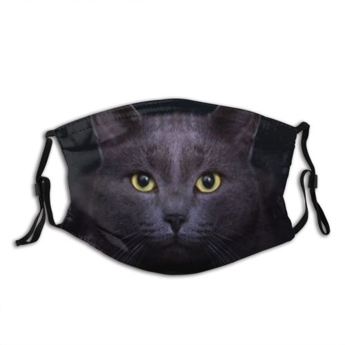 yanfind Face Portrait Pet Kitten Eyes Fur Furry Young Cat Cute Closeup Grey Dust Washable Reusable Filter and Reusable Mouth Warm Windproof Cotton Face