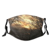yanfind Winter Sunset Sunlight Landscape Sky Trees Tree Morning Branch Morning Natural Winter Dust Washable Reusable Filter and Reusable Mouth Warm Windproof Cotton Face