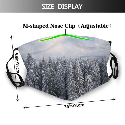 yanfind Winter Sky Spruce Winter Colorado Balsam Shortleaf Snow Pine Forest Tree Frost Dust Washable Reusable Filter and Reusable Mouth Warm Windproof Cotton Face