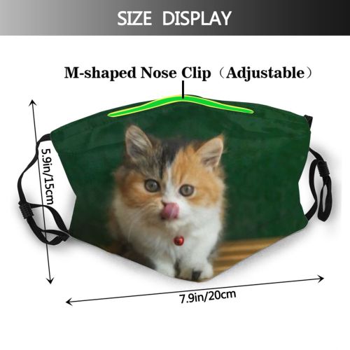 yanfind Lick Fur Young Little Cat Cute Colorful Wood Beautiful Pretty Pet Eyes Dust Washable Reusable Filter and Reusable Mouth Warm Windproof Cotton Face