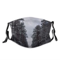 yanfind Winter National Perspective Winter Natural Atmospheric Woody National Sky Snow Chequamegon Pine Dust Washable Reusable Filter and Reusable Mouth Warm Windproof Cotton Face