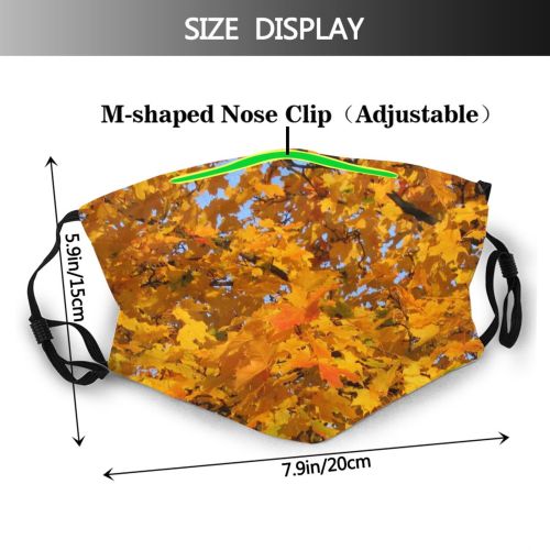 yanfind Leaves Deciduous Woody Maple Leaf Fall Plant Tree Plant Branch Autumn Autumn Dust Washable Reusable Filter and Reusable Mouth Warm Windproof Cotton Face