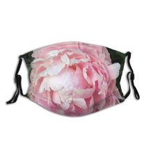 yanfind Plant Centifolia Flower Garden Rosa Flower Plant × Roses Common Peony Petal Dust Washable Reusable Filter and Reusable Mouth Warm Windproof Cotton Face