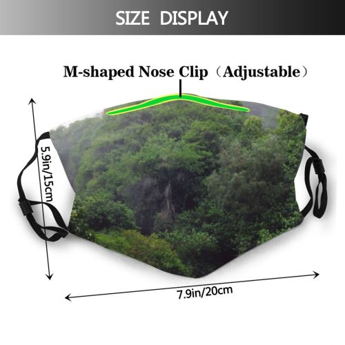yanfind Iao Station Hawaii River Jungle Resources Rainforest Highland Mountainous Waterfall Jungle Hill Dust Washable Reusable Filter and Reusable Mouth Warm Windproof Cotton Face