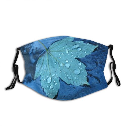 yanfind Leaves Leaf Maple Drop Leaf Dew Plant Tree Moisture Autumn Rain Dust Washable Reusable Filter and Reusable Mouth Warm Windproof Cotton Face