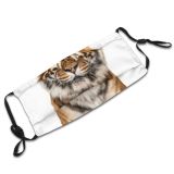 yanfind Isolated Stripes Tigris Danger Striped Cat Carnivore Big Staring Wildlife Facing Nobody Dust Washable Reusable Filter and Reusable Mouth Warm Windproof Cotton Face