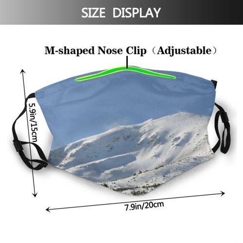 yanfind Winter Leaf Plant Flower Twig Stem Branch Frost Winter Freezing Snow Snow Dust Washable Reusable Filter and Reusable Mouth Warm Windproof Cotton Face