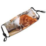 yanfind Comfortable Interested Lovely Fur Bed Striped Cat Cute Peace Warm Big Lazy Dust Washable Reusable Filter and Reusable Mouth Warm Windproof Cotton Face