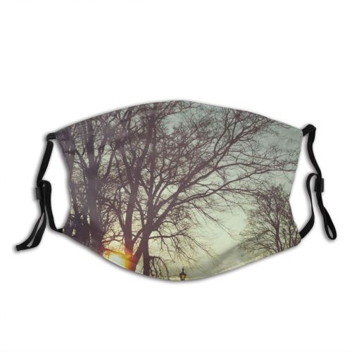 yanfind Morning Natural Atmospheric Woody Tallinn Landscape Sky Branch Bare Tree Tree Light Dust Washable Reusable Filter and Reusable Mouth Warm Windproof Cotton Face