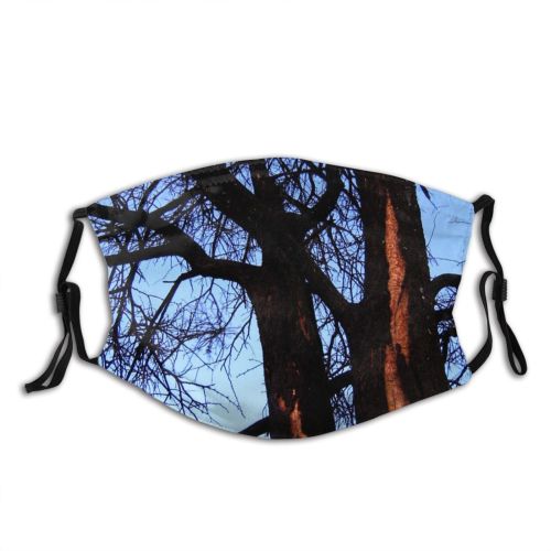 yanfind Spring Bark Sky Plant Sky Twig Tree Tree Branch Trunk Wood Plant Dust Washable Reusable Filter and Reusable Mouth Warm Windproof Cotton Face