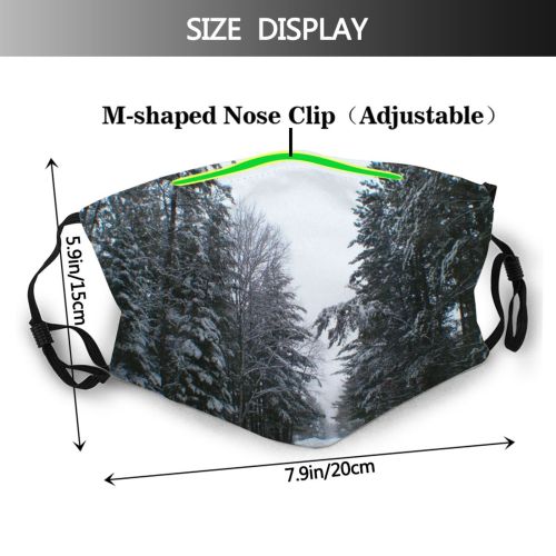 yanfind Winter Frozen Sky Winter Atmospheric Branches Woody Branch Sky Ice Branch Snow Dust Washable Reusable Filter and Reusable Mouth Warm Windproof Cotton Face