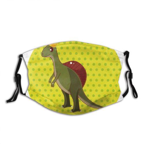 yanfind Isolated Comic Cute Jurassic Triceratops Baby Dino Tyrannosaurus Design Art Ancient Monster Dust Washable Reusable Filter and Reusable Mouth Warm Windproof Cotton Face