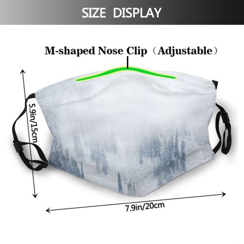 yanfind Ice Columbia Frost Landscape Frozen Tree Freshness Scene Snow Forest Fir Sky Dust Washable Reusable Filter and Reusable Mouth Warm Windproof Cotton Face