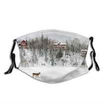 yanfind Roe Tremblant Mont Profile Built Tree Snow Sky Wildlife Canada Park Deer Dust Washable Reusable Filter and Reusable Mouth Warm Windproof Cotton Face