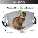 yanfind Expensive Asian Lovely Fur Young Little Cat Kitty Cute Striped Shorthair Wildlife Dust Washable Reusable Filter and Reusable Mouth Warm Windproof Cotton Face
