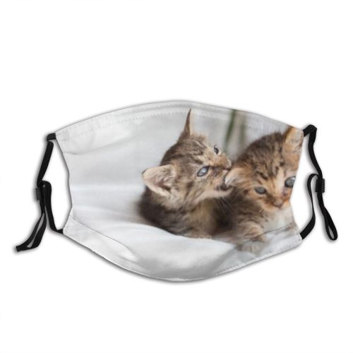 yanfind Bedroom Foster Young Bed Cat Kitty Cute Fight Bite Pet Cats Fluffy Dust Washable Reusable Filter and Reusable Mouth Warm Windproof Cotton Face