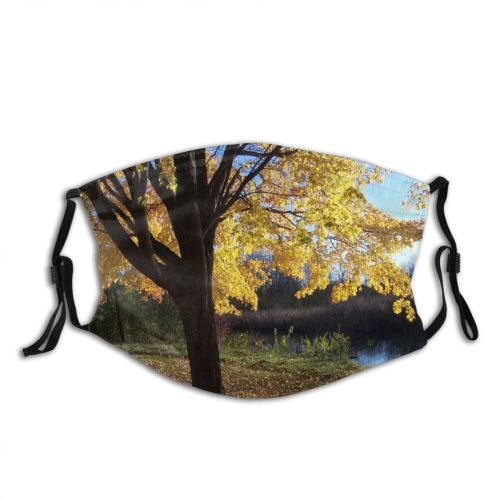 yanfind Natural Autumn Woody Leaves Landscape Branch Afternoon Leaf Tree Autumn Deciduous Plant Dust Washable Reusable Filter and Reusable Mouth Warm Windproof Cotton Face