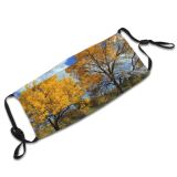 yanfind Sky Natural Autumn Woody Leaves Landscape Sky Plant Fall Aspen Sunny Leaf Dust Washable Reusable Filter and Reusable Mouth Warm Windproof Cotton Face