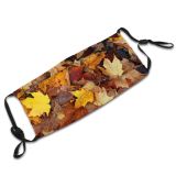 yanfind Leaves Deciduous Leaf Fallen Maple Pile Leaf Maple Fall Plant Tree Autumn Dust Washable Reusable Filter and Reusable Mouth Warm Windproof Cotton Face