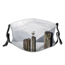 yanfind Jetty Lake Daylight Bird Dawn Mountain Sea Beach Island Dock Mountains Pier Dust Washable Reusable Filter and Reusable Mouth Warm Windproof Cotton Face