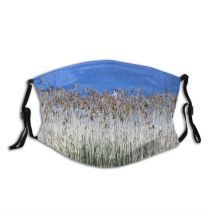 yanfind Family Flower Lake Shore Plant Crop Poppies Blu Phragmites Poales Stem Grass Dust Washable Reusable Filter and Reusable Mouth Warm Windproof Cotton Face