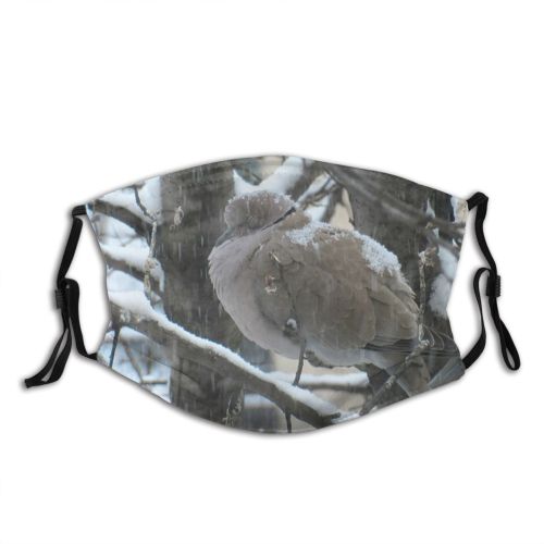 yanfind Dove Winter Mourning Bird Plant Bird Twig Branch Dove Feather Wildlife Beak Dust Washable Reusable Filter and Reusable Mouth Warm Windproof Cotton Face