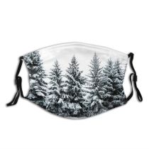 yanfind Public Frost Landscape Frozen Rural Polar Tree Scene Evergreen Snow Forest Wilderness Dust Washable Reusable Filter and Reusable Mouth Warm Windproof Cotton Face