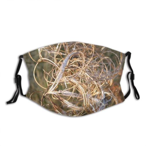 yanfind Dead Wire Plant Week Dried Plant Knotted Tangled Autumn Foliage Dust Washable Reusable Filter and Reusable Mouth Warm Windproof Cotton Face