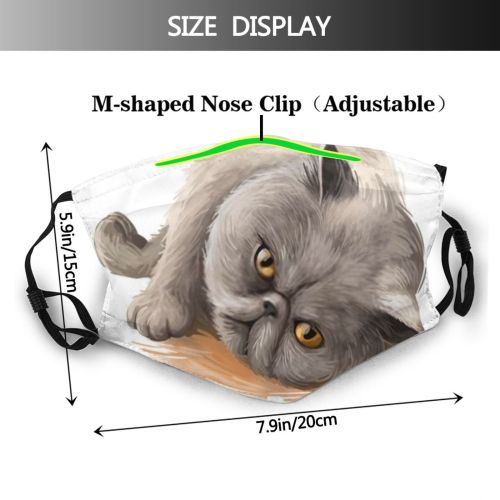 yanfind Isolated Fur Clipart Little Cat Kitty Cute Active Friendly Friend Pretty Face Dust Washable Reusable Filter and Reusable Mouth Warm Windproof Cotton Face