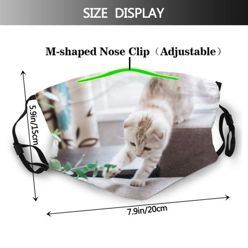 yanfind Bridal Elegant Life Cat Cute Groom Smiling Marriage Dress Wedding Bouquet Bride Dust Washable Reusable Filter and Reusable Mouth Warm Windproof Cotton Face