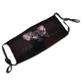 yanfind Lovely Young Little Cat Kitty Cute Meow Tender Shorthair Wildlife Fauna Curious Dust Washable Reusable Filter and Reusable Mouth Warm Windproof Cotton Face