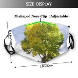 yanfind Spring Fall Natural Woody Landscape Sky Plant Fall Leaf Tree Tree Autumn Dust Washable Reusable Filter and Reusable Mouth Warm Windproof Cotton Face