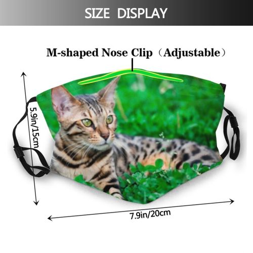 yanfind Fur Young Striped Cat Cute Nose Summer Meadow Bengal Grass Beautiful Pretty Dust Washable Reusable Filter and Reusable Mouth Warm Windproof Cotton Face