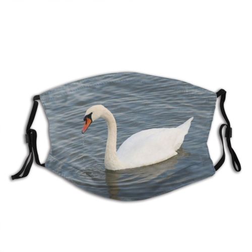 yanfind Ducks Winter Beak Geese Neck Vertebrate Wildfowl Swans Bird Swan Bill Feathers Dust Washable Reusable Filter and Reusable Mouth Warm Windproof Cotton Face