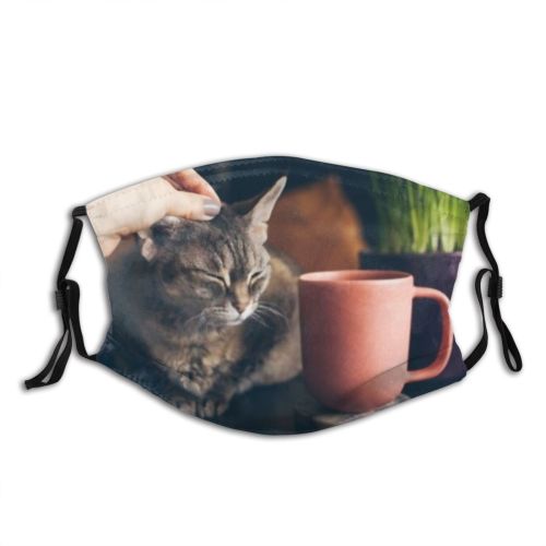 yanfind Ceramic Devon Young Anxiety Cat Kitty Cute Interacting Cozy Keep Purr Improve Dust Washable Reusable Filter and Reusable Mouth Warm Windproof Cotton Face