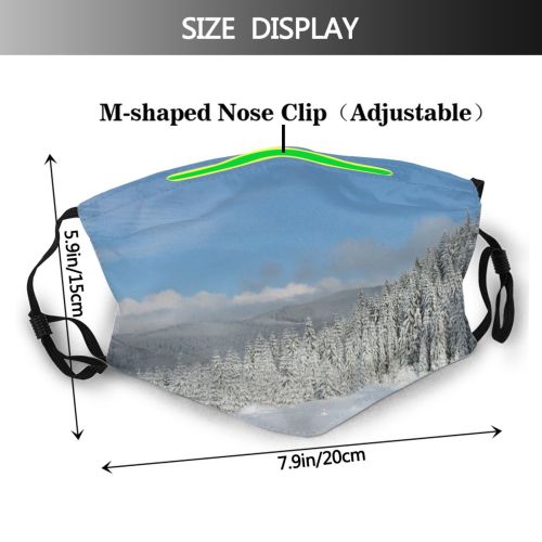 yanfind Pine Winter Cloud Geological Mountain Sky Tree Winter Freezing Atmospheric Snow Wilderness Dust Washable Reusable Filter and Reusable Mouth Warm Windproof Cotton Face
