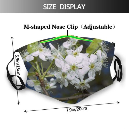 yanfind May Flower Prunus Blossum Spring Sky Limb Spring Leaves Branch Plant Flowers Dust Washable Reusable Filter and Reusable Mouth Warm Windproof Cotton Face